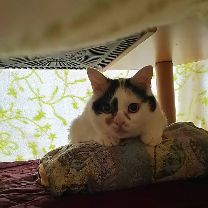 C173b301 7798 4917 8f12 f5f907dbce83