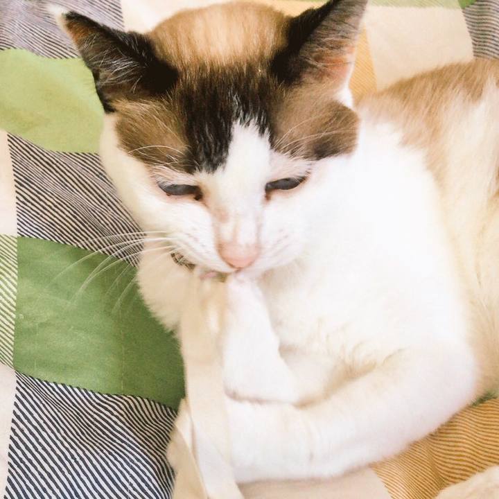 C1742c27 97b7 4ebf a129 1622e4be3e61