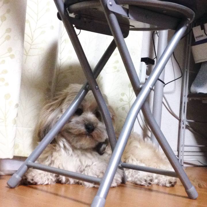 C17531a0 ecd4 4090 a7e5 f67a8a493916