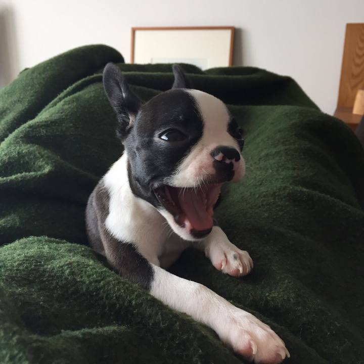 C17607cf 75fc 498c b459 1d39d3e2d60b