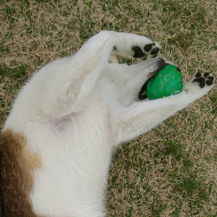 C1763fb5 9cfd 43e3 8973 1b24e36ae442