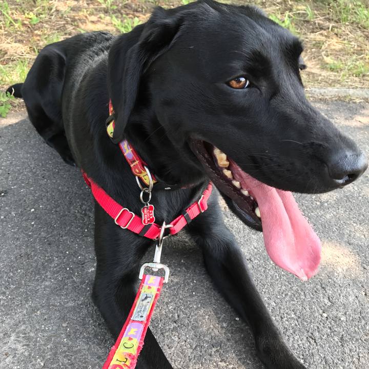 C176820c c896 4bb8 8521 2e911a3e17fd