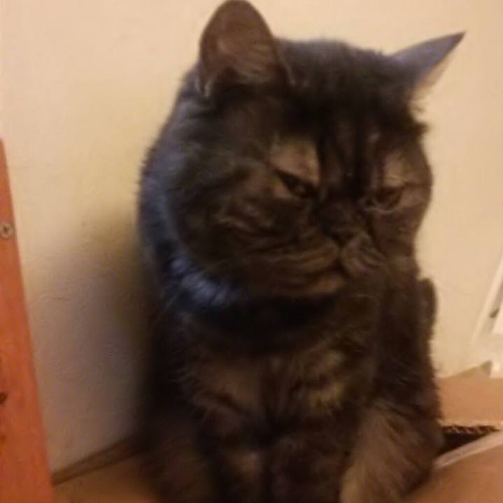 C1779796 daa3 4cec 9bdb d307188b391d