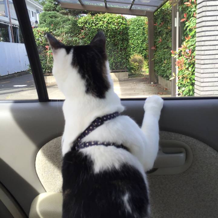 C177dbd8 e1a1 4a65 be5b 7fa1a8f030be