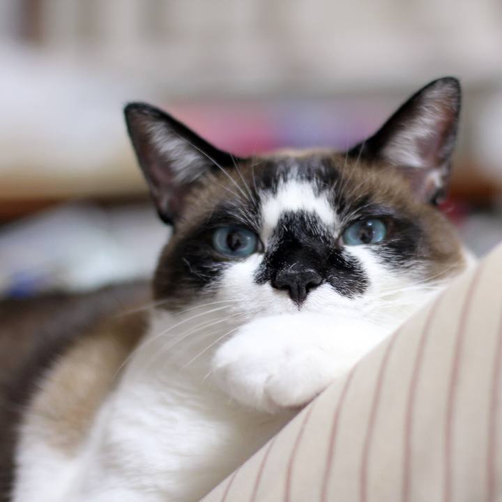 C1784c70 f75a 41bc 80ae f9ef98c8a485