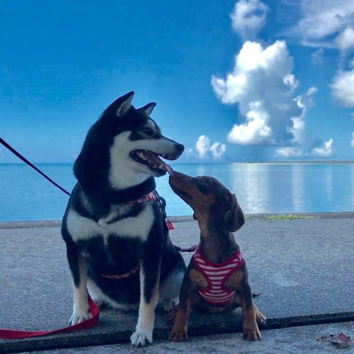 C17852de 85fd 4df8 95eb b8ae99d75e07