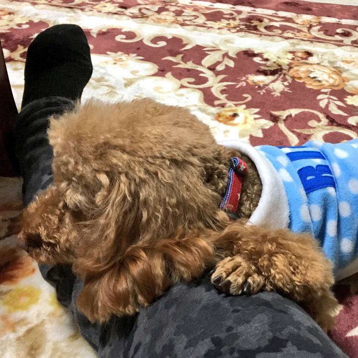 C1785509 c8f6 448f 8e42 afe1c9e832c1