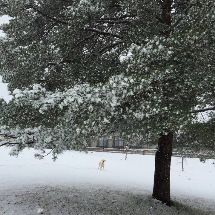 C1794ec5 37a7 4661 9d9d 04340b139238