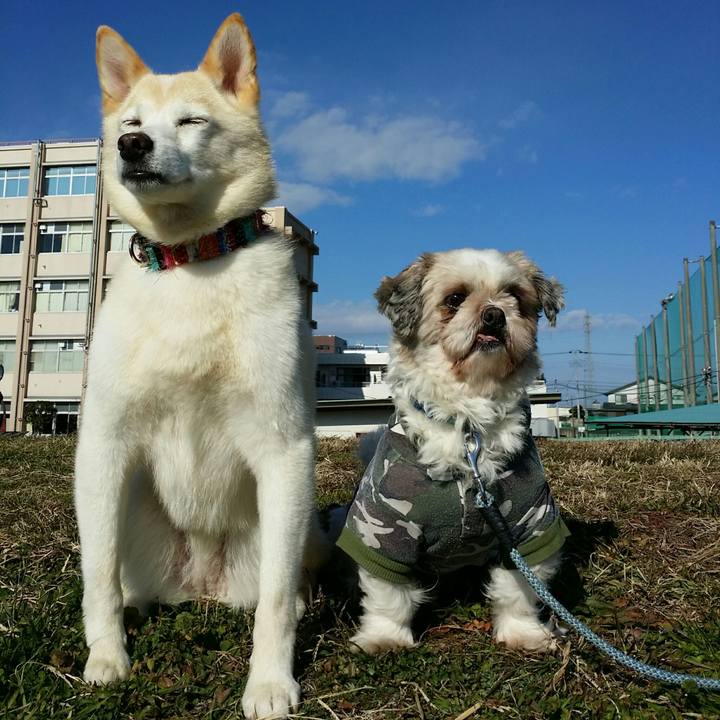 C17985fe a322 40bc 9f39 c81188c44f35