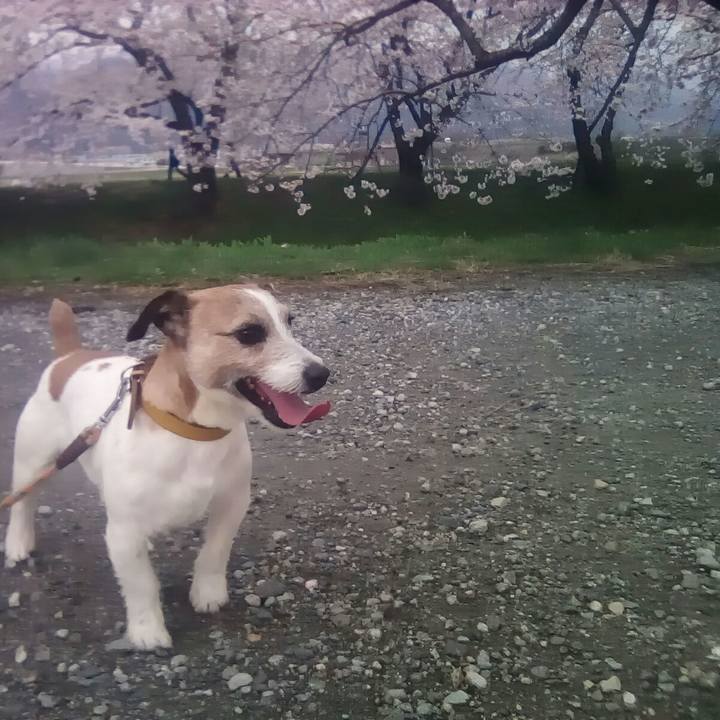 C1799369 d411 4129 9a86 8b7ac77595e2