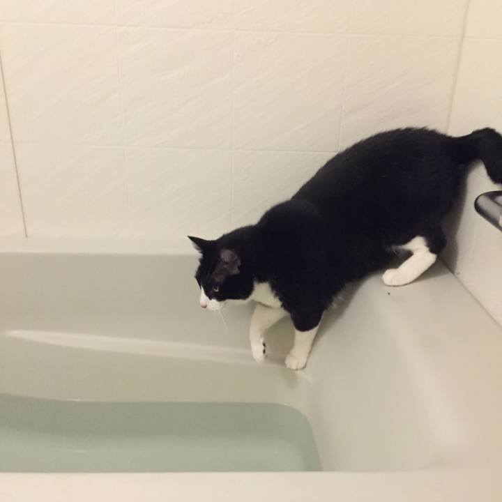 C17a7b5f 3941 4bf7 9688 a903756cecbc