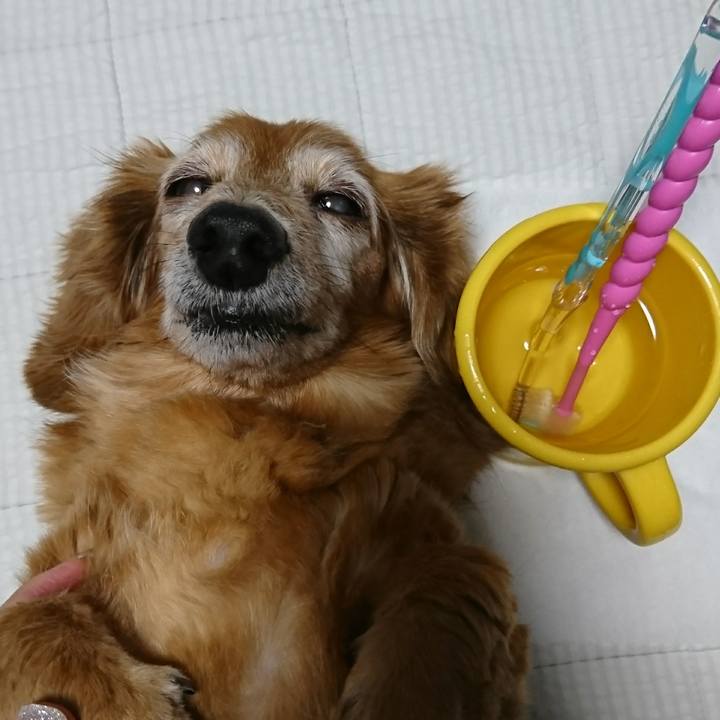 C17b4111 c0a9 4848 8422 6e306f19749e