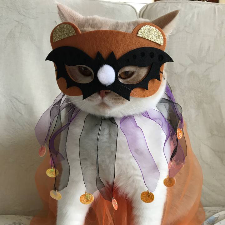 C17bda19 374d 42ff 820f 61b3cc79f58c