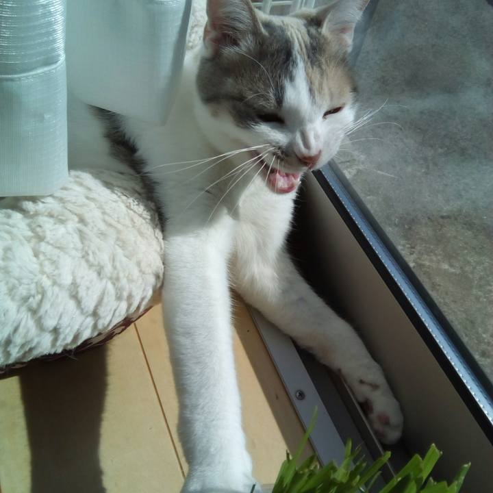 C17bf7c9 cc07 480e 85bc c791ccc5ca27