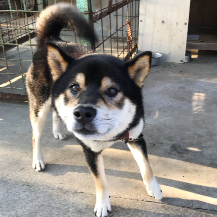 C17c5ac4 2f31 41ca a98a 4c5f6fa93f3f