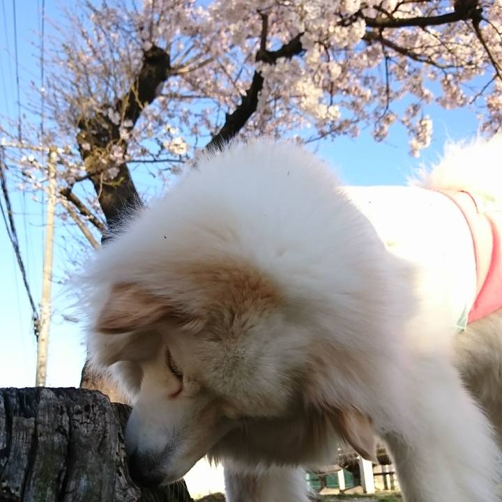 C17d0778 bcd0 4218 b581 8996b9d66e64