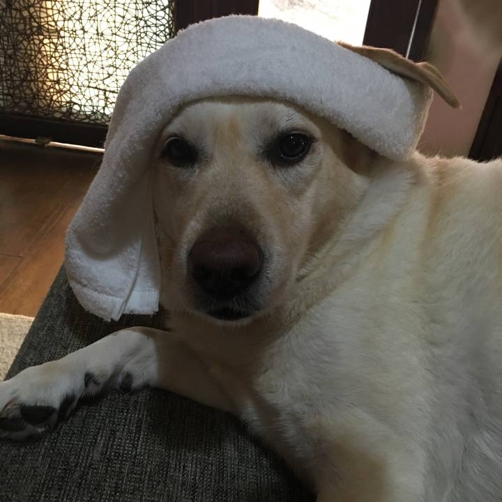 C17d2db7 ee9b 4289 a372 373d10d9f0f9