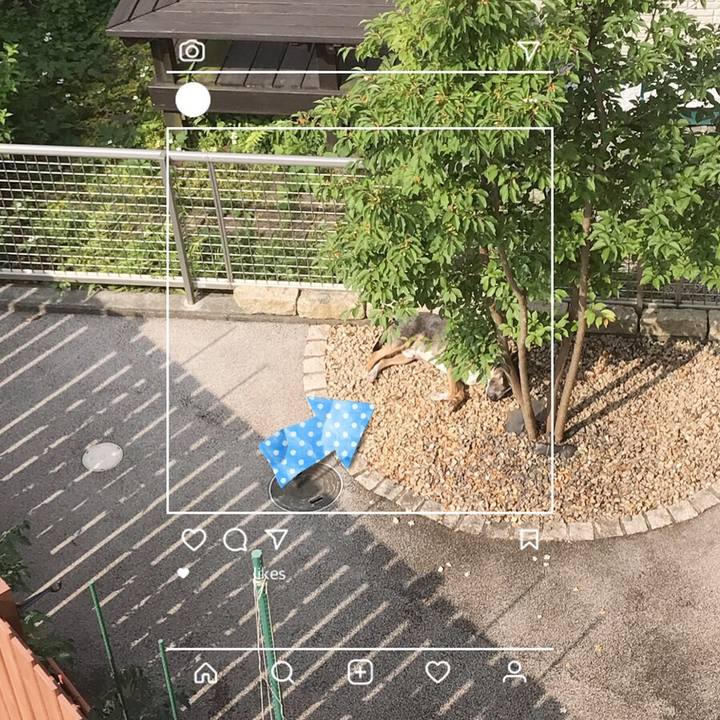 C17d73f7 d507 4174 bb08 3f94fd9de836