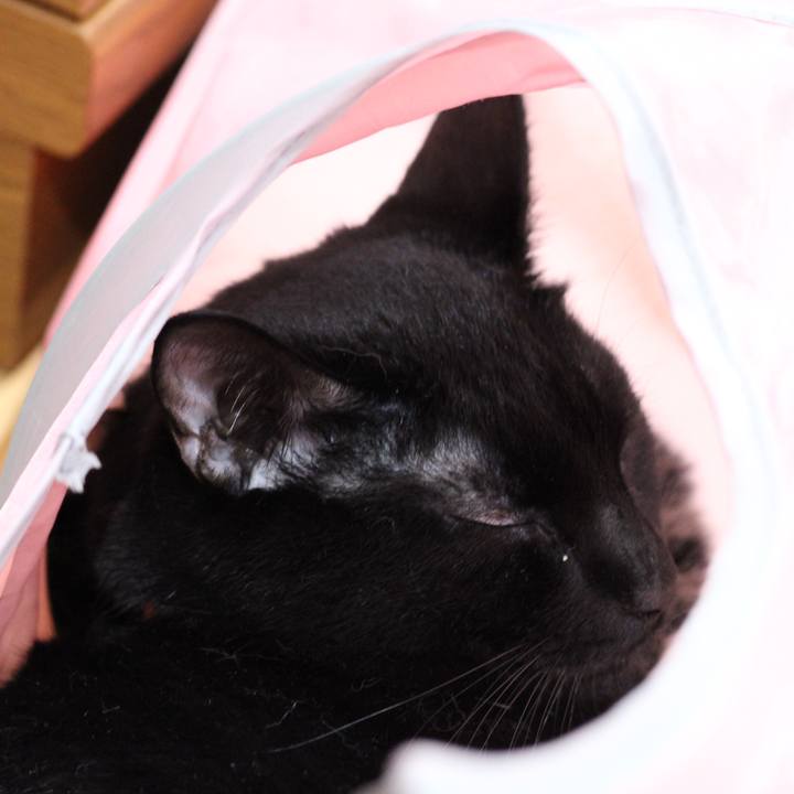 C17dcc76 9e9e 4c86 bf90 ccc64342b9e6