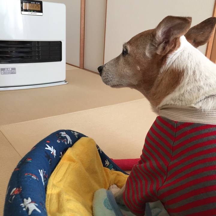 C17dcdb8 ec2a 45e1 9fa7 50b05c63520b