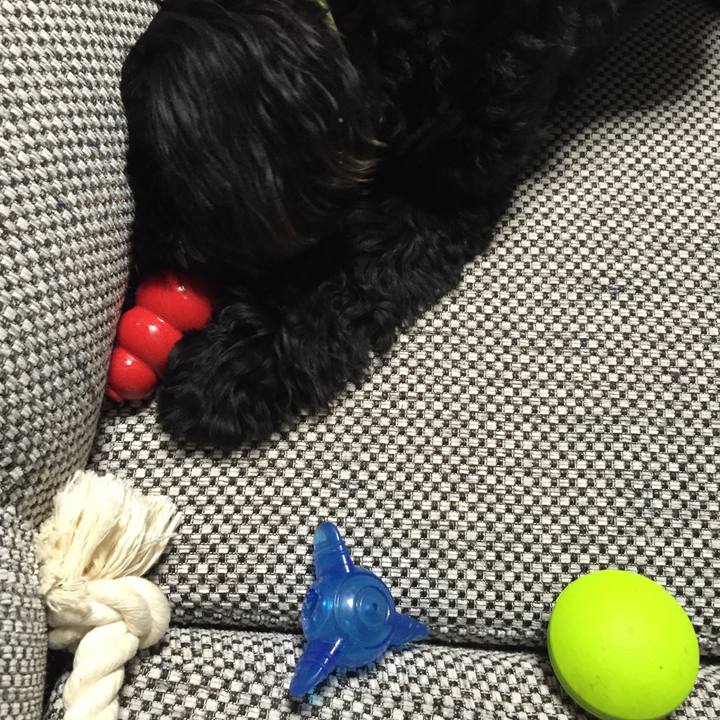 C17de23a 7c83 40cb a5da 0057e7e50393