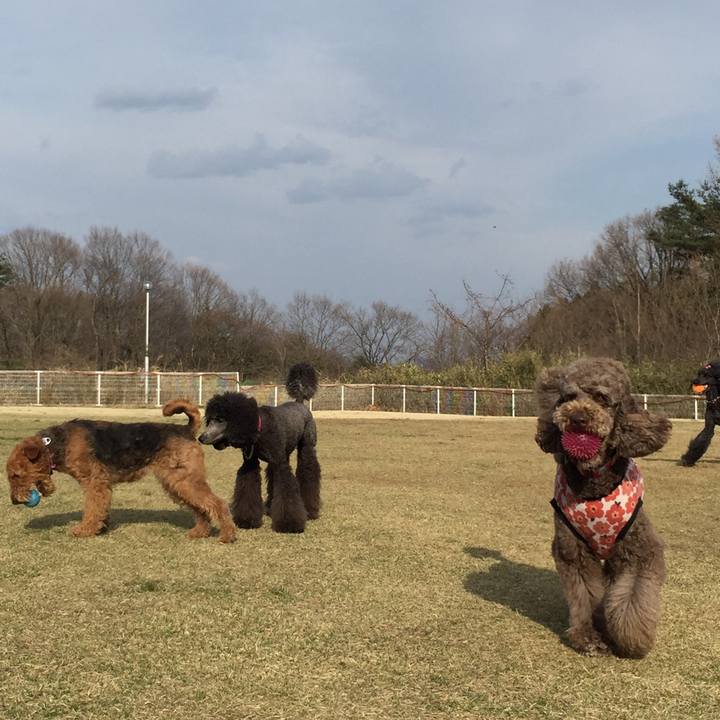 C17e3292 36ae 4f16 b3aa e5a29665a6d9