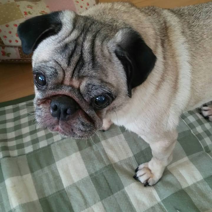 C17ea802 20c7 4a90 9b07 df02beab844a