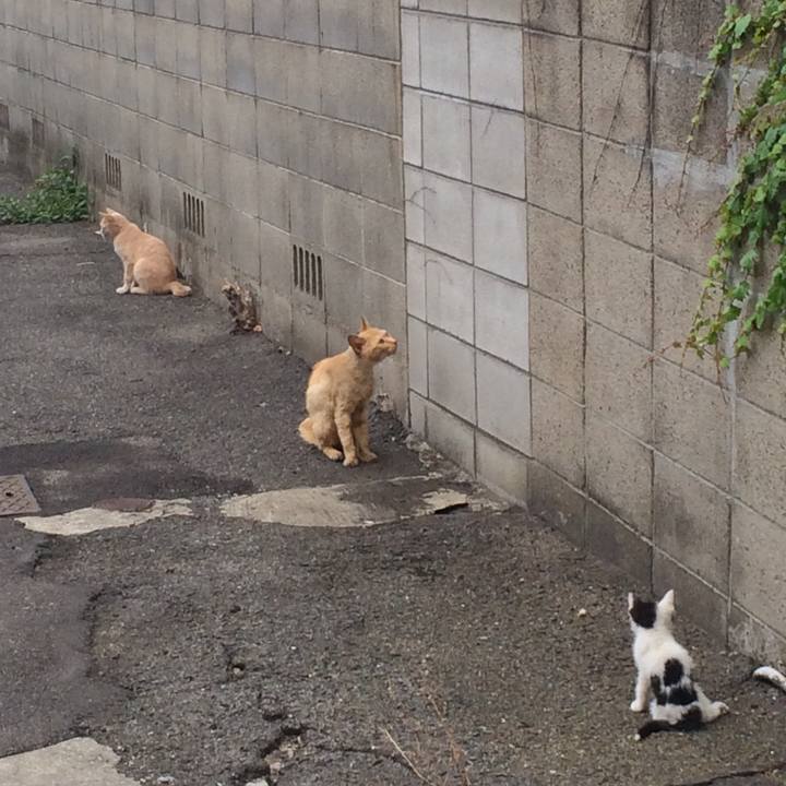 C17f4b3a 6e14 4b70 be14 da8ec9bb8d88