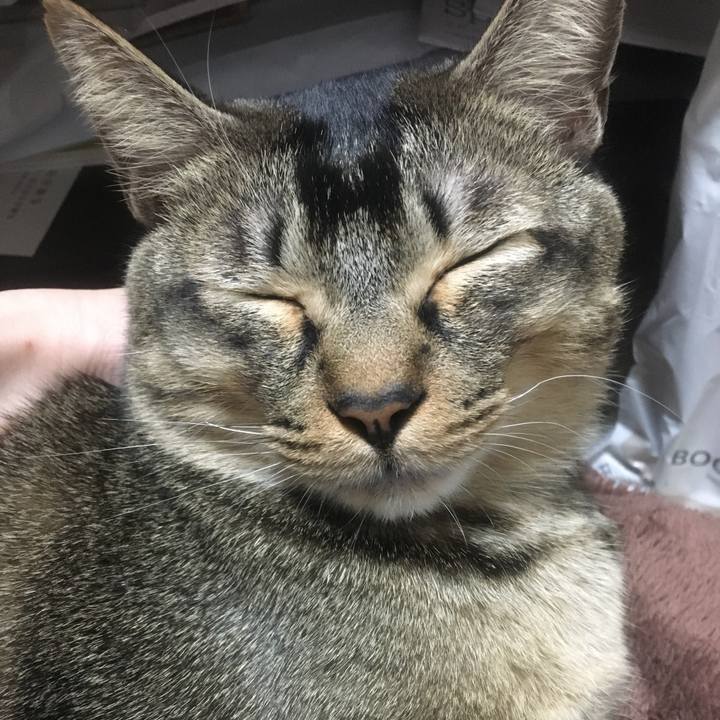 C17fa4ba af13 4c41 a809 56c5ead022c3