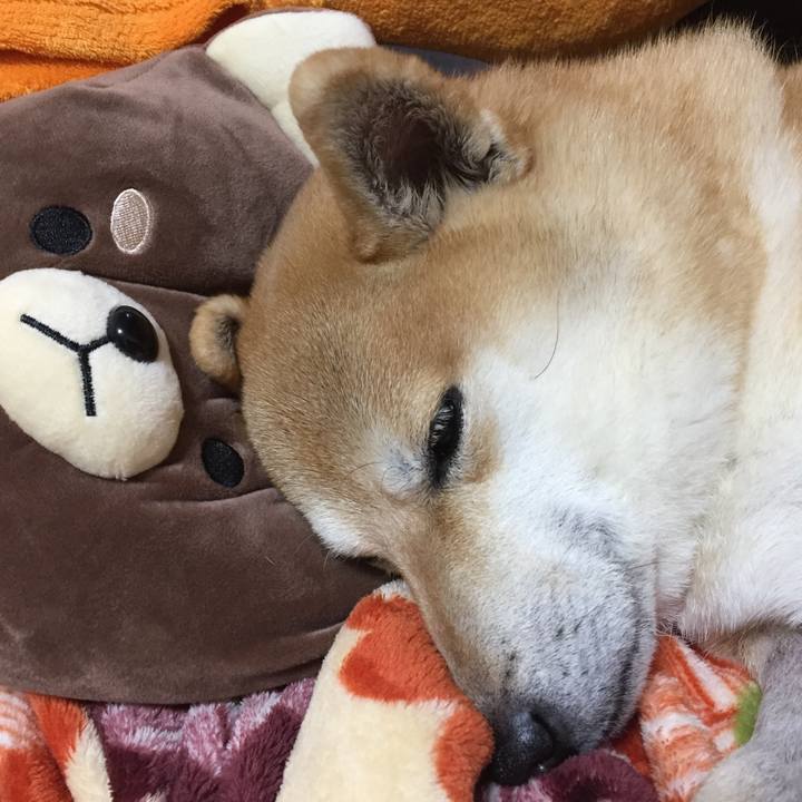 C17fa767 ac29 490a 8fec 3529fd4b496b