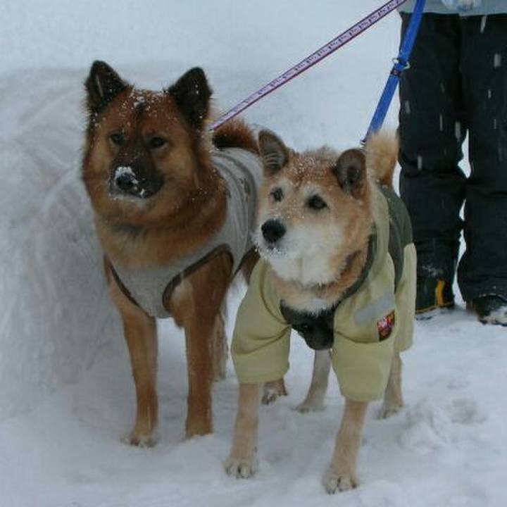 C17fa9d3 538f 45a6 8e8c c0c14e2dcc32