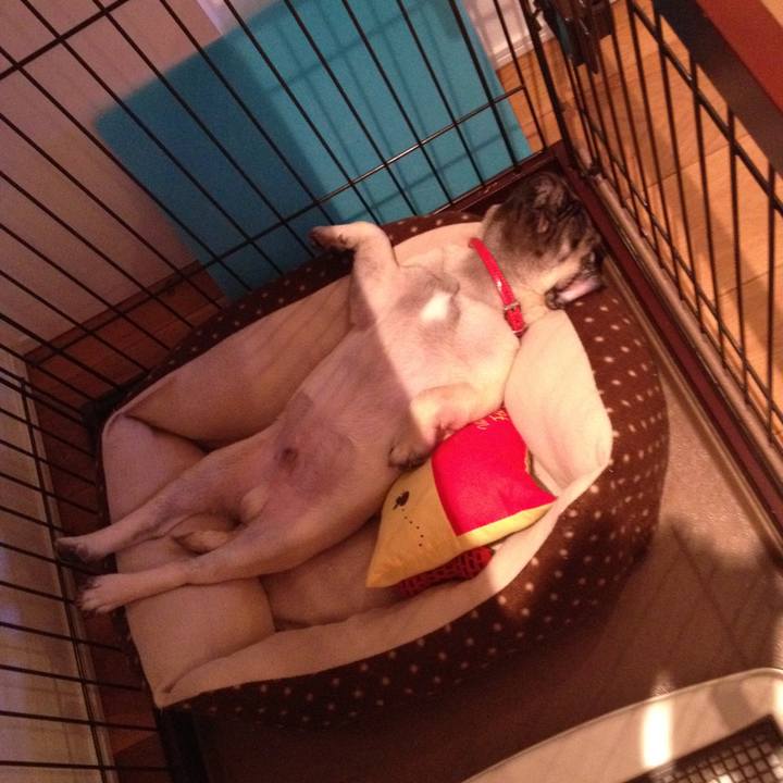 C18183fe 46d1 48c4 b1b0 5a1be0b728d1