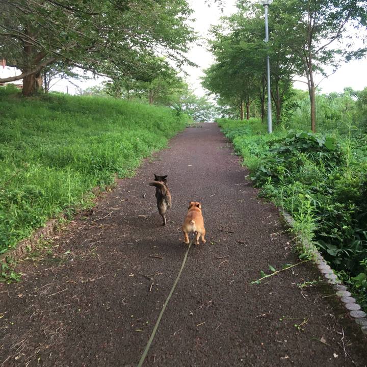 C182761b c6e9 4ecb a376 7029659dddc4