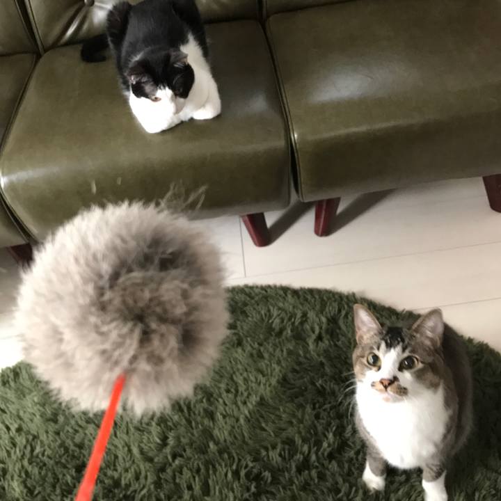 C182eba5 6642 4517 b736 4e1633ac0137