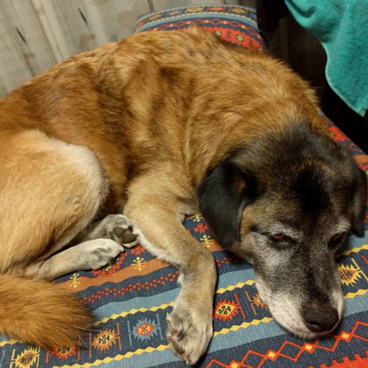 C1834887 7b96 4c74 bb4a 84aa8404320d