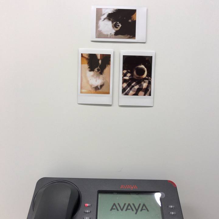 C183a89e 4a54 41d6 bb83 3b3c5445d019