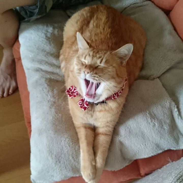 C183cddf 0268 4b38 bf19 0455038dcd76