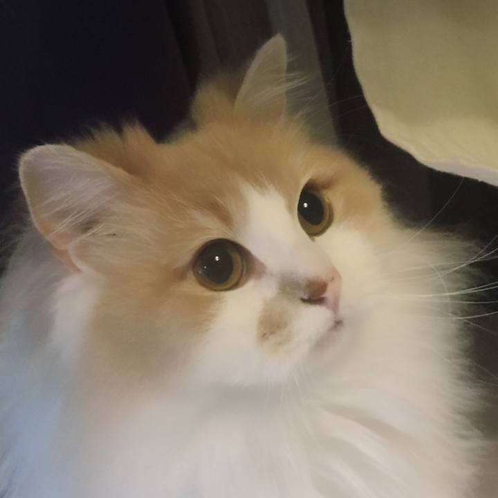 C183f59a f0d7 412a 9141 4ba2b0052812