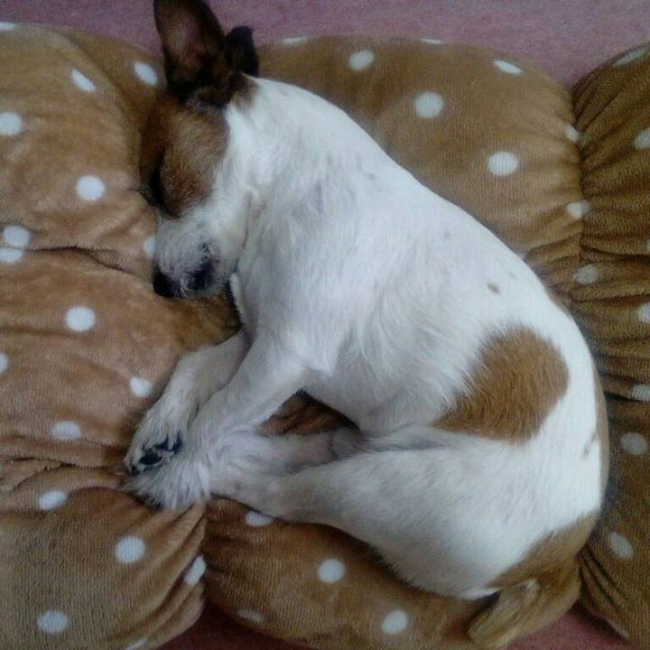 C1841ba5 276d 4baa afd2 8a5e363a4646