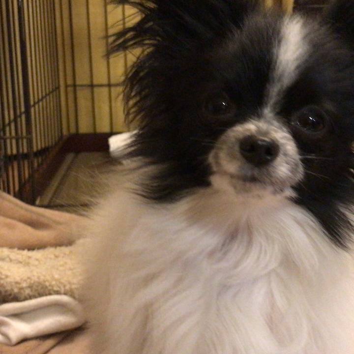 C18467e6 88f9 47b8 bdd2 4dbbe0af0847