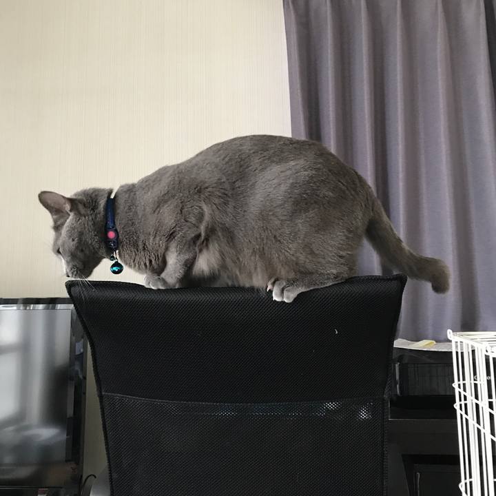 C184687d f442 470d a3aa 32bdc3fe05dc