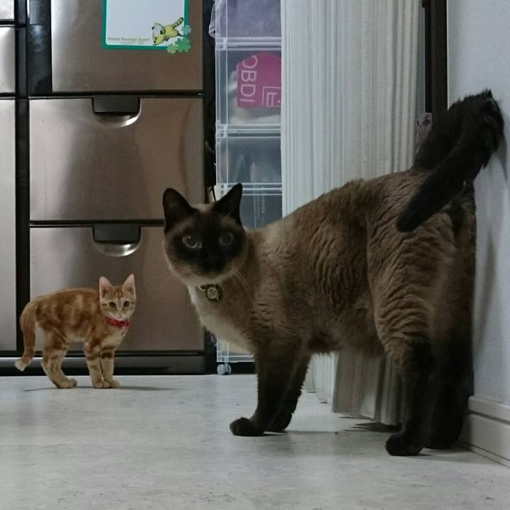 C1850279 614c 4b7c b66a daf2caa46de9