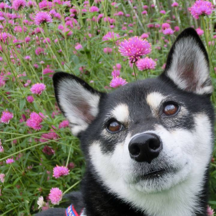 C1852100 1242 41b5 b85a 9a5d06d5cc24