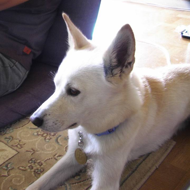 C1854b71 8bae 40b7 89d1 1fb62cf69806