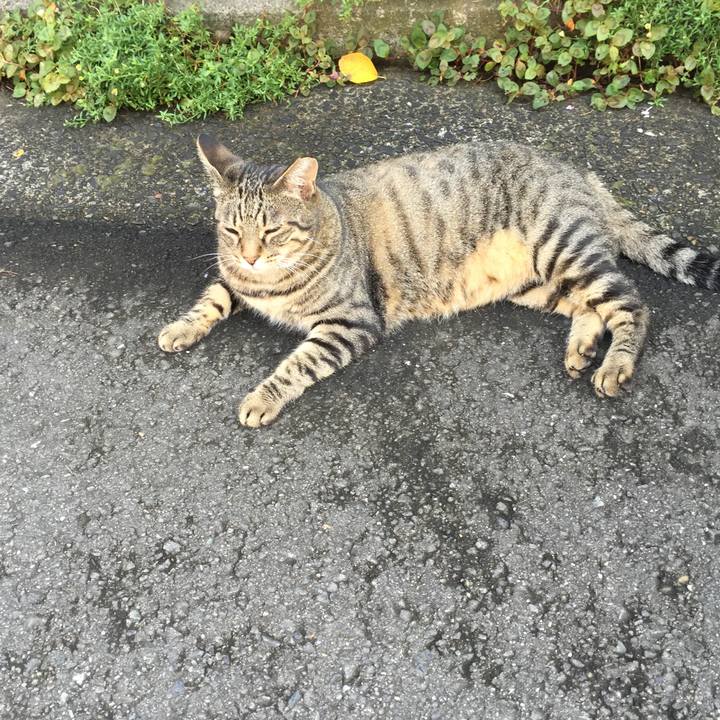 C1856d33 4dc9 443e abb0 089ae0c1d908