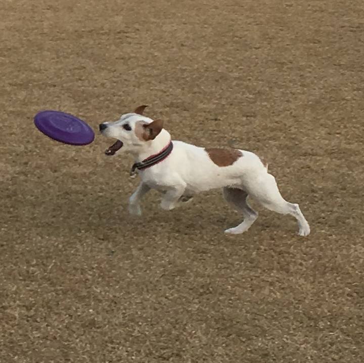 C185ec45 9706 4899 abb1 42dbc34d6567