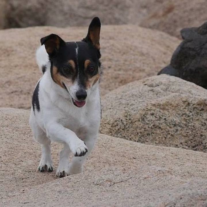 C1862a9f b9aa 4d6c a22e 45ad7ac9adf0