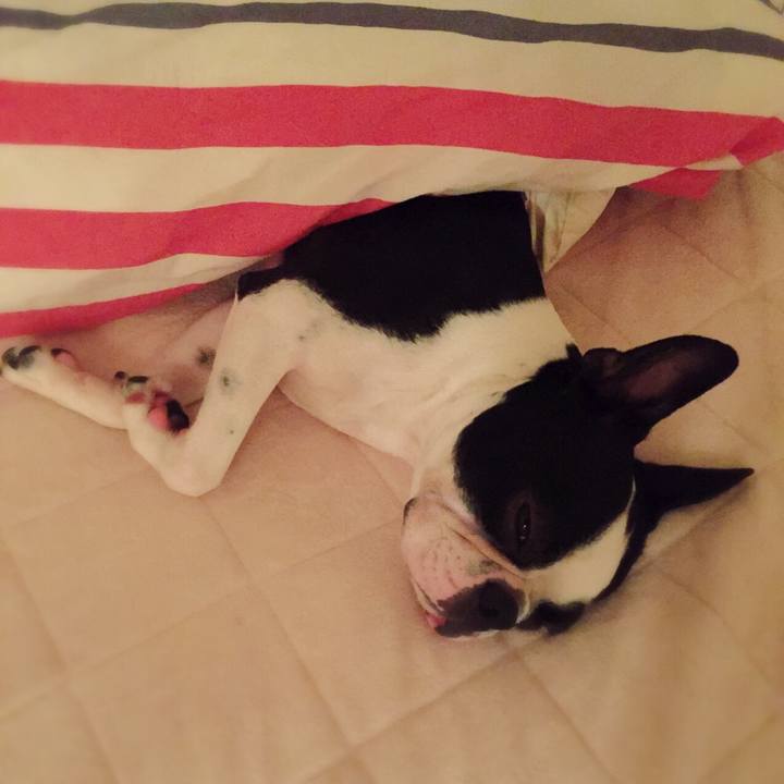 C18700d6 814a 4a70 a6b5 244f214009b1