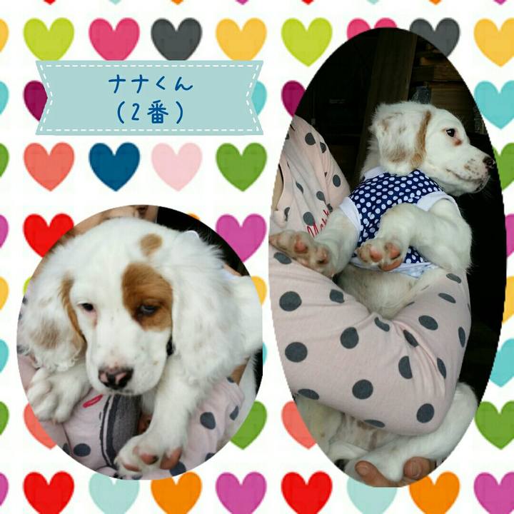 C1876552 b044 4716 bdb1 a6bcf323b97c