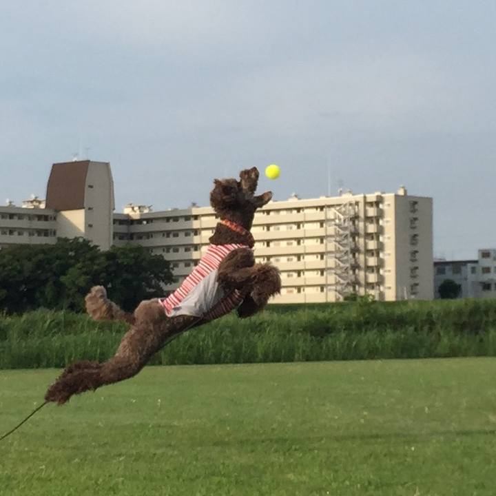 C1876c39 7eac 4882 a325 ce2ca884a8b0